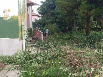 Çarşamba Belediyesi