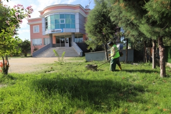 Çarşamba Belediyesi