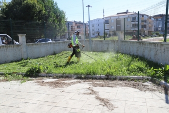Çarşamba Belediyesi