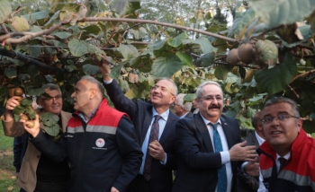 Çarşamba Belediyesi