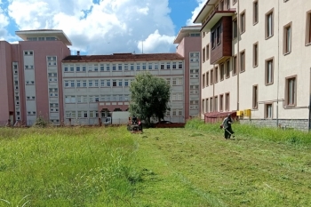 Çarşamba Belediyesi